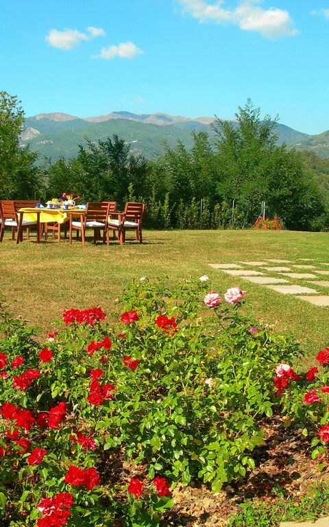 Villa Saida: Garden, Outdoor