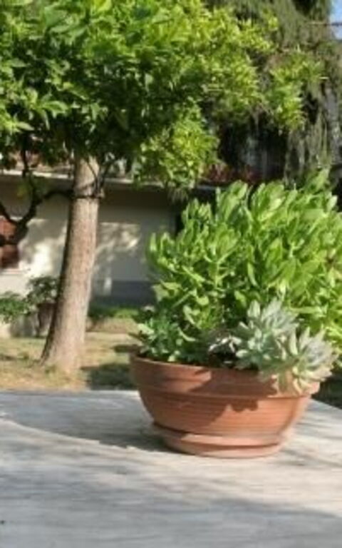 ***villa Contea: Garden, Outdoor