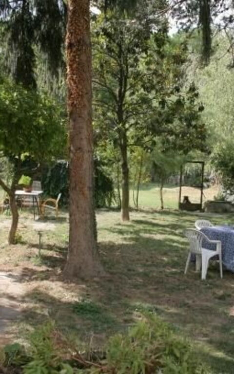 ***villa Contea: Garden, Outdoor