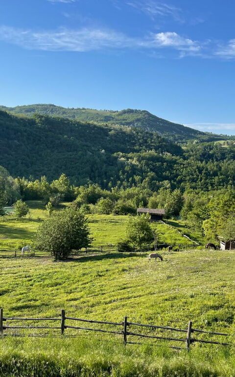 La Cenerara