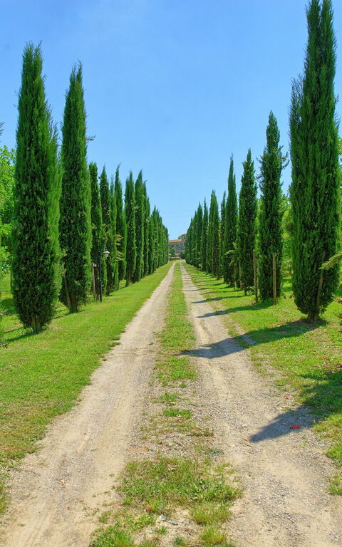 Villa Giare: Scenic View