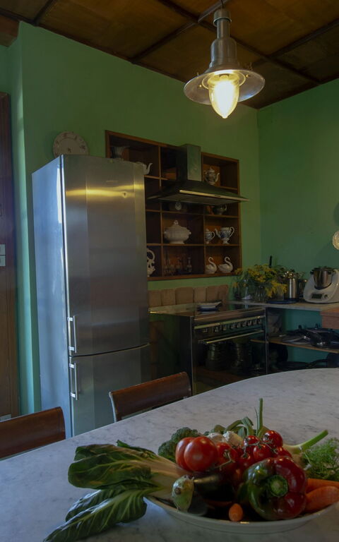 Villa Pedone: Kitchen