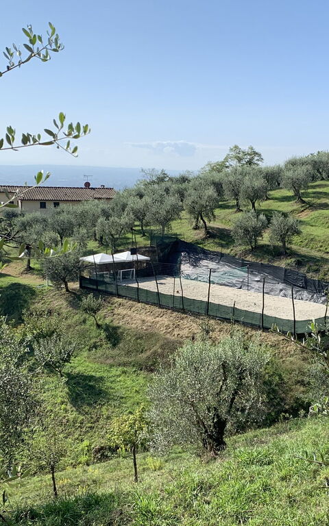 Villa Le Ferrette: Outdoor