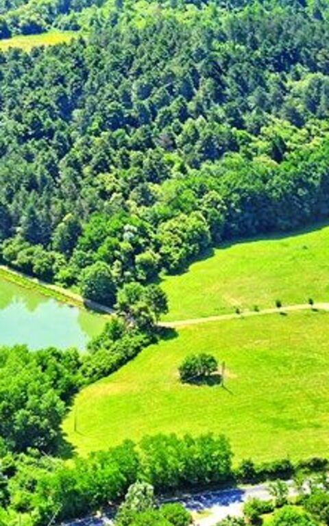 Villa Sant' Angelo: Garden, Scenic View