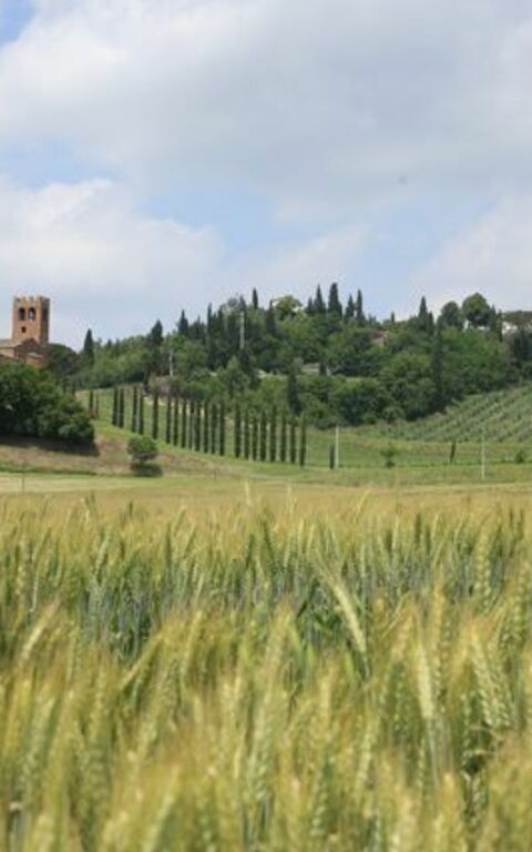 Villa Buonaparte: Scenic View
