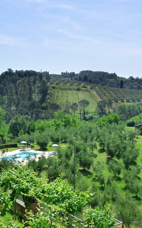 Villa Buonaparte: Garden