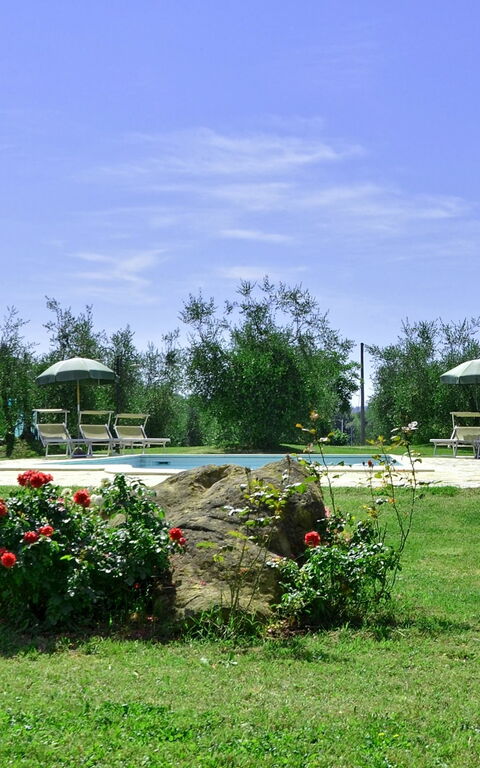 Villa Buonaparte: Garden