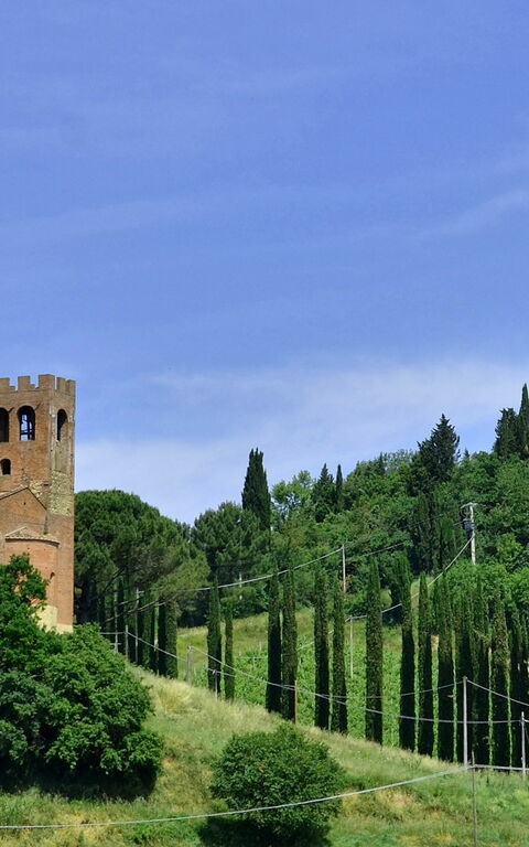 Villa Buonaparte: Garden