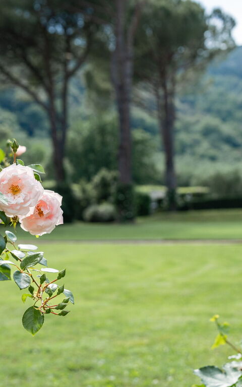 Villa De Ranieri: Garden, Outdoor