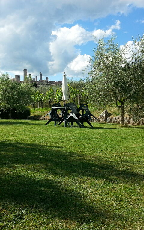 Podere Degli Olivi: Garden