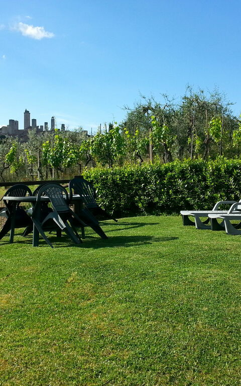 Podere Degli Olivi: Garden, Outdoor