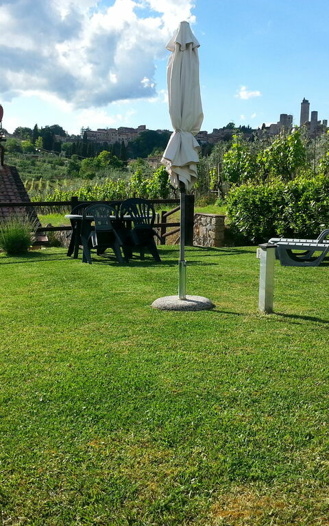 Podere Degli Olivi: Garden