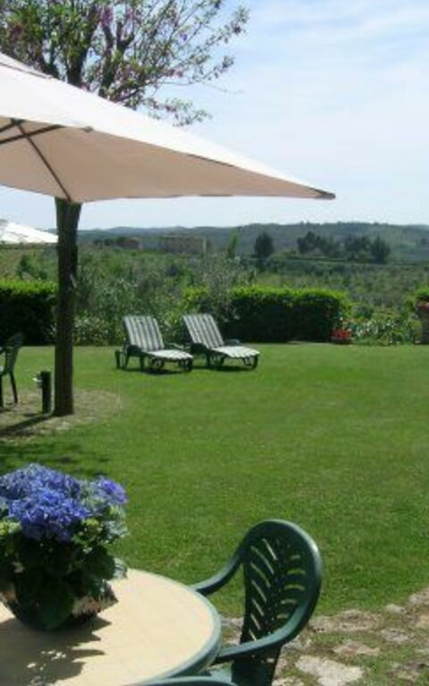 Podere Degli Olivi: Garden