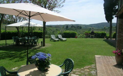 Accommodation Olivo: Outdoor