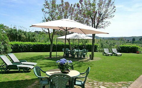 Accommodation Olivo: Outdoor