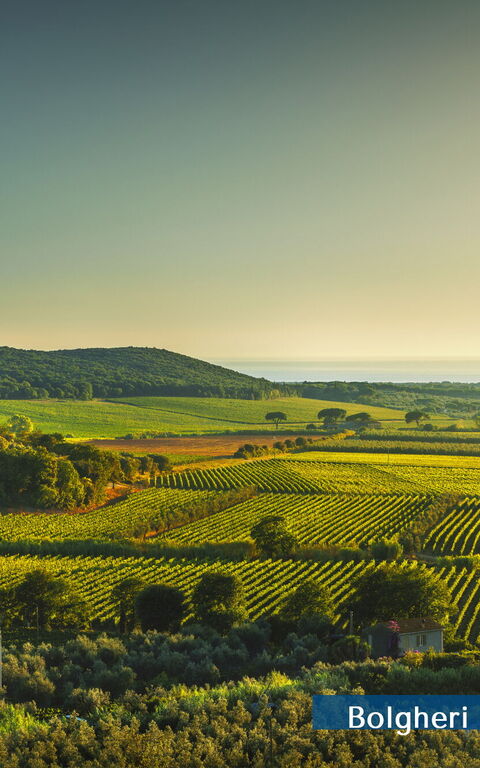 Guardistallo: Building Exterior, Scenic View