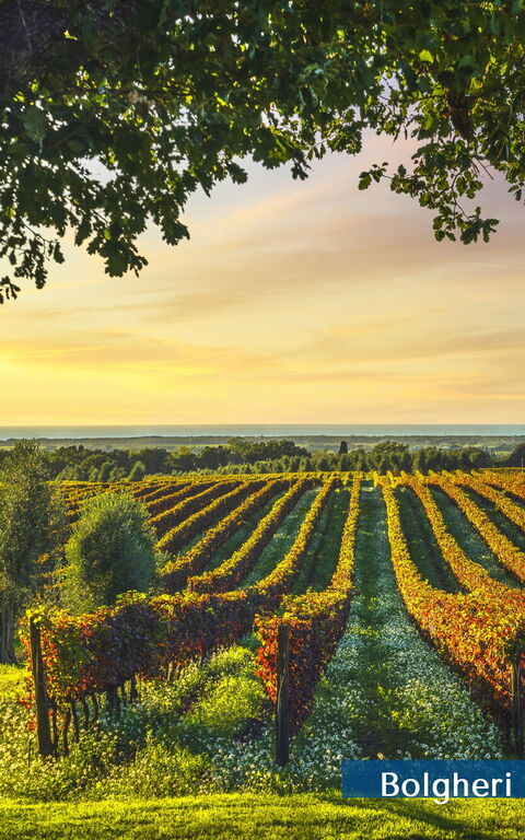 Guardistallo: Building Exterior, Scenic View