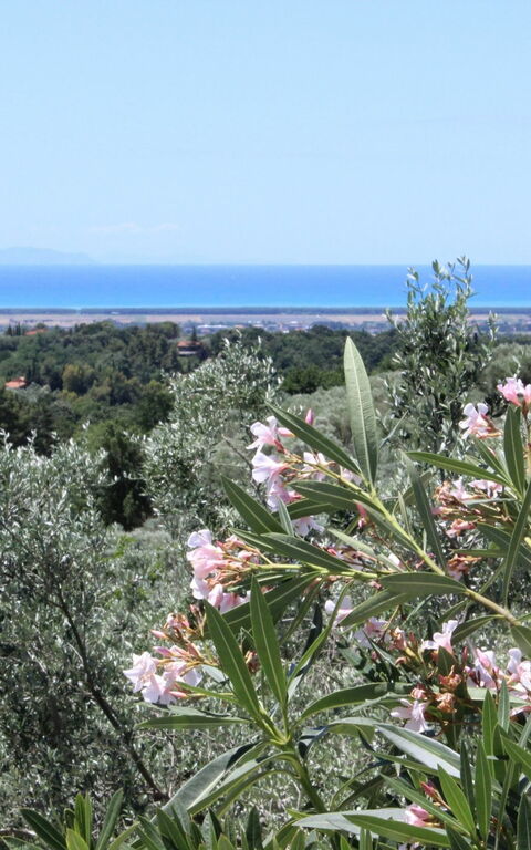 Guardistallo: Scenic View