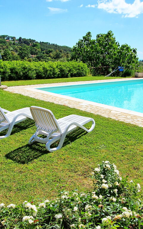 Guardistallo: Garden, Pool