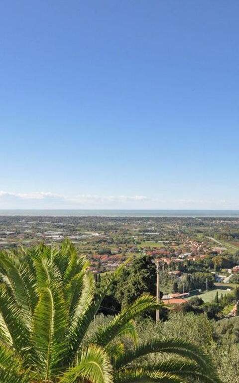 Villa Camaiore: Garden, Scenic View
