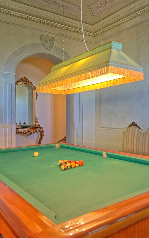 Villa Camaiore: Activities