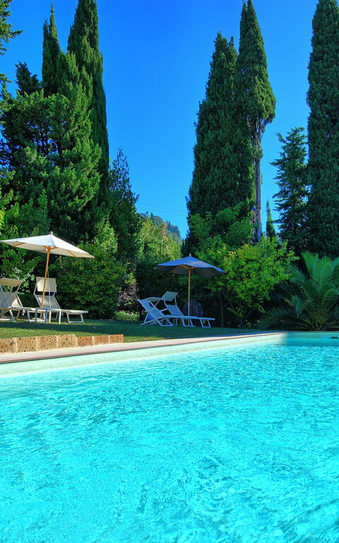 Villa Camaiore: Garden, Pool