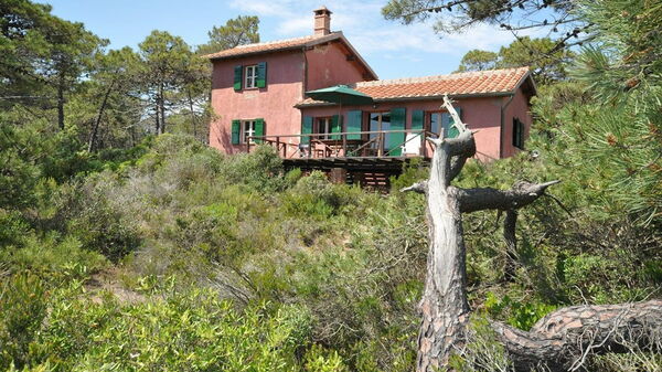 Casamare: Building Exterior