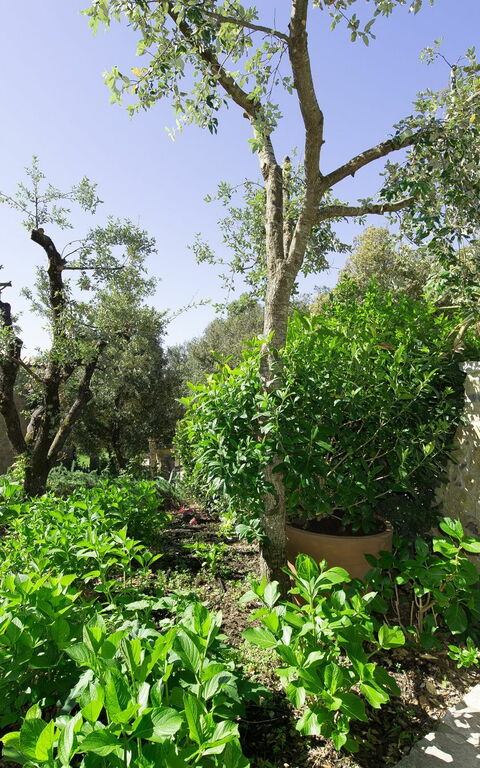 Villa Nova: Building Exterior, Outdoor