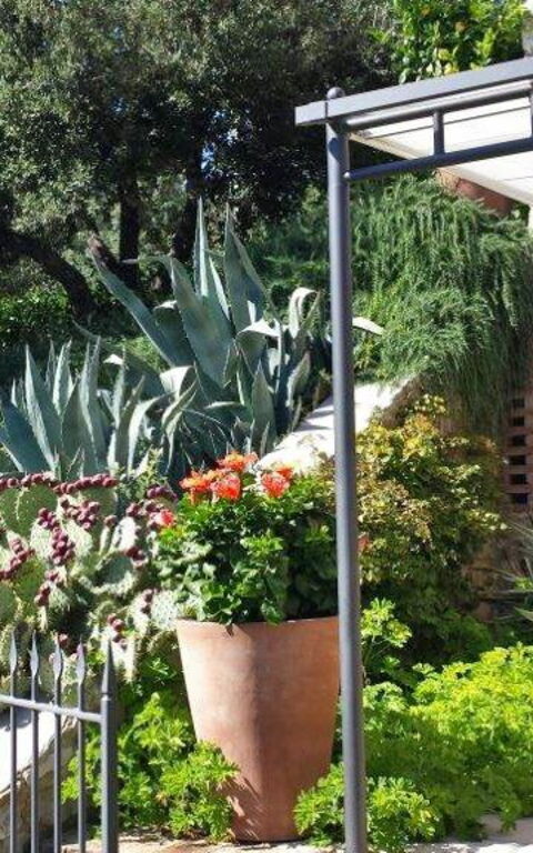 Villa Nova: Building Exterior, Outdoor