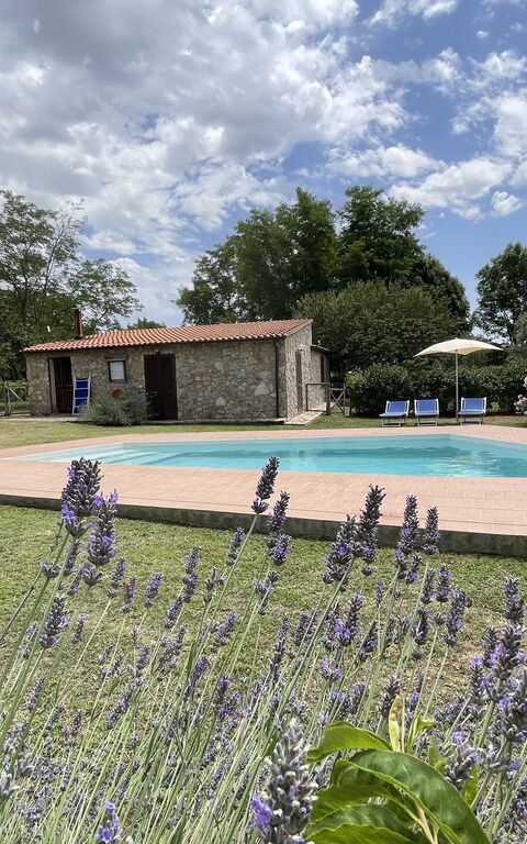 Funghi 1: Building Exterior, Garden, Outdoor, Pool