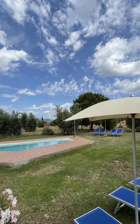 Funghi 1: Building Exterior, Garden, Outdoor, Pool