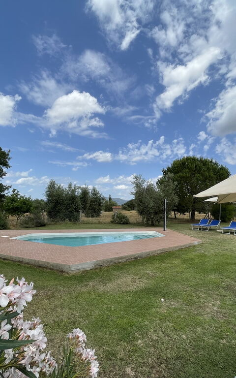 Funghi 1: Building Exterior, Garden, Outdoor, Pool