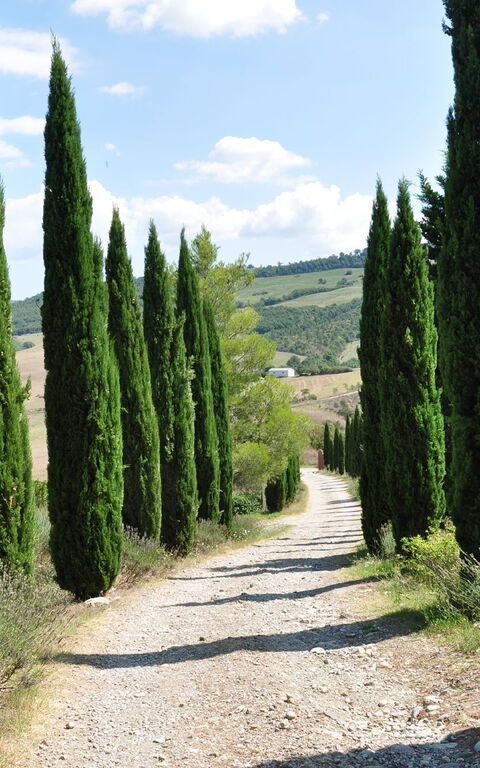 Le Querce Di Campocane: Building Exterior