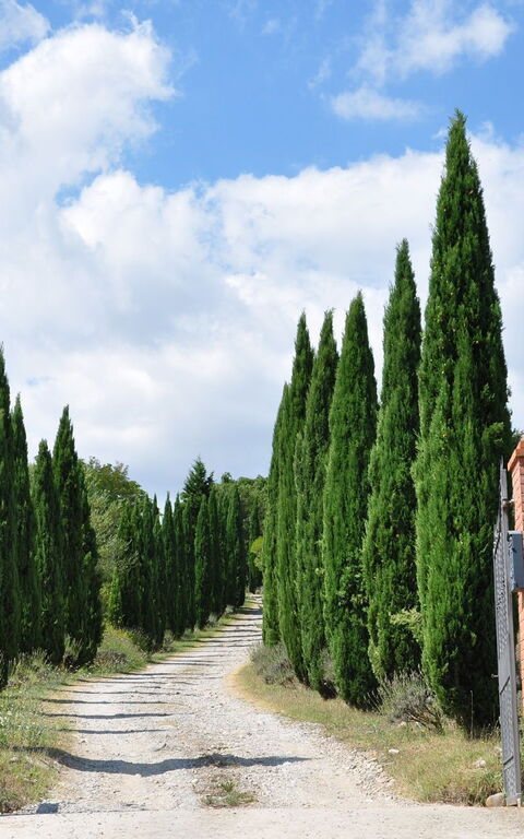 Le Querce Di Campocane: Building Exterior