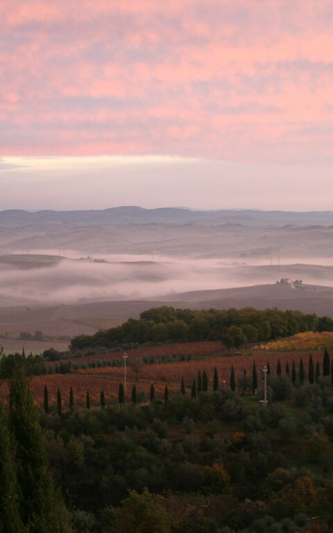 Villa Montalcino: Scenic View