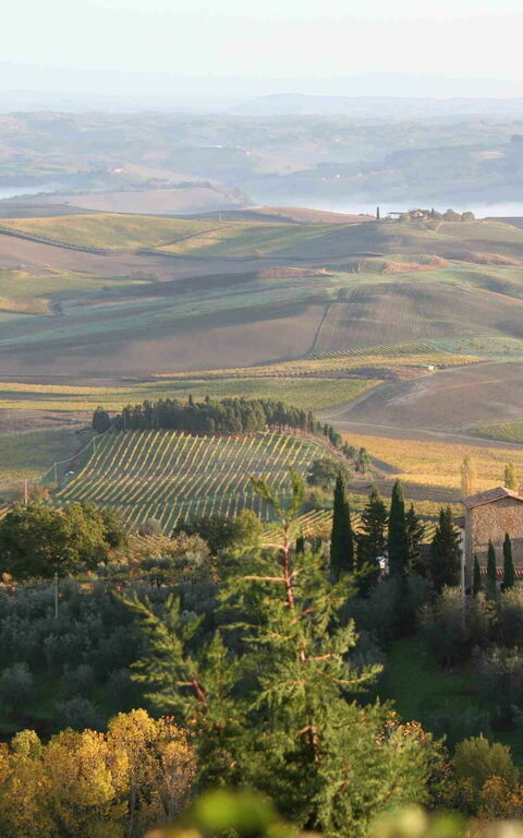 Villa Montalcino: Scenic View