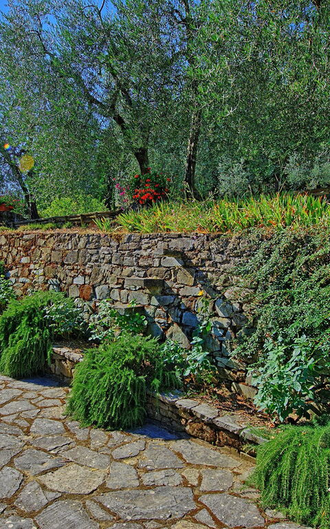 Villa Montalcino: Garden