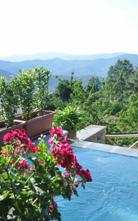 Villa Margherita Tre: Pool