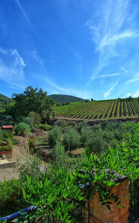 Casa Maria Luisa: Scenic View