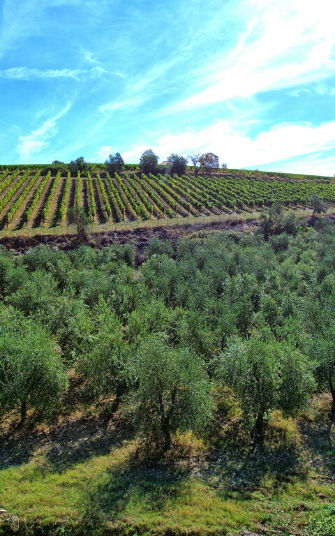 Casa Maria Luisa: Scenic View