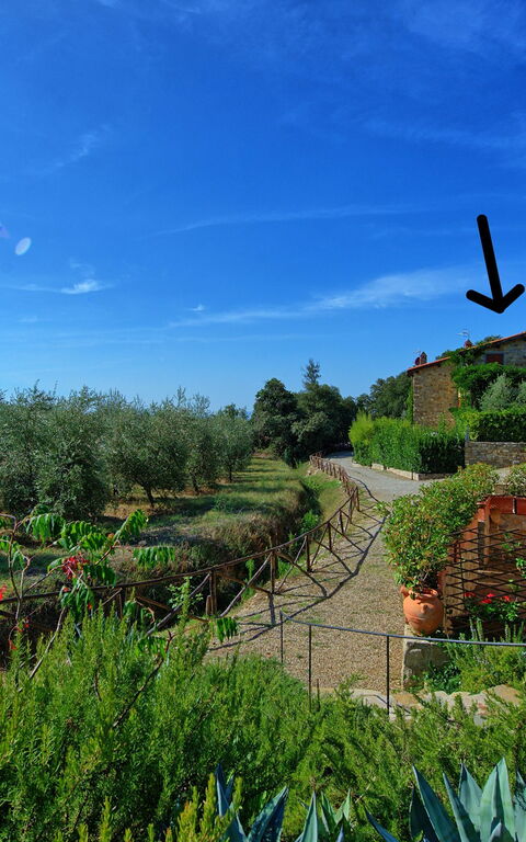 Casa Maria Luisa: Outdoor