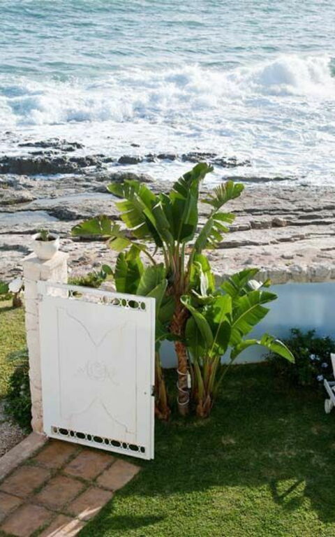 Villa Antares: Garden