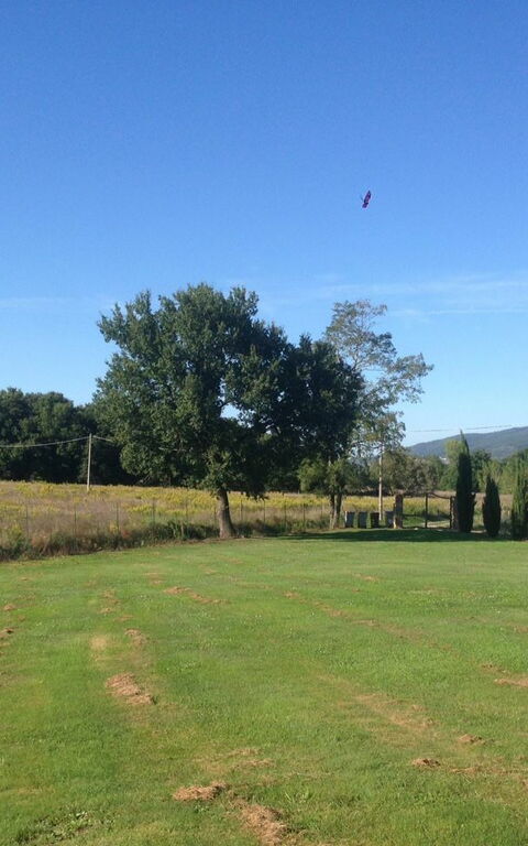 Casa Catia: Garden, Scenic View