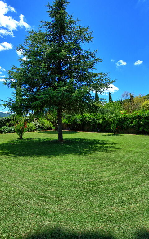 Villa Capolona: Garden, Outdoor