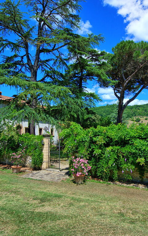 Villa Capolona: Outdoor