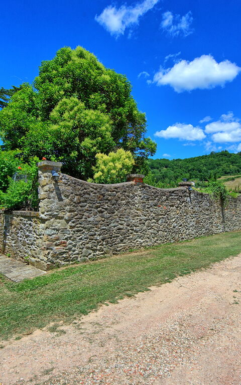 Villa Capolona: Outdoor