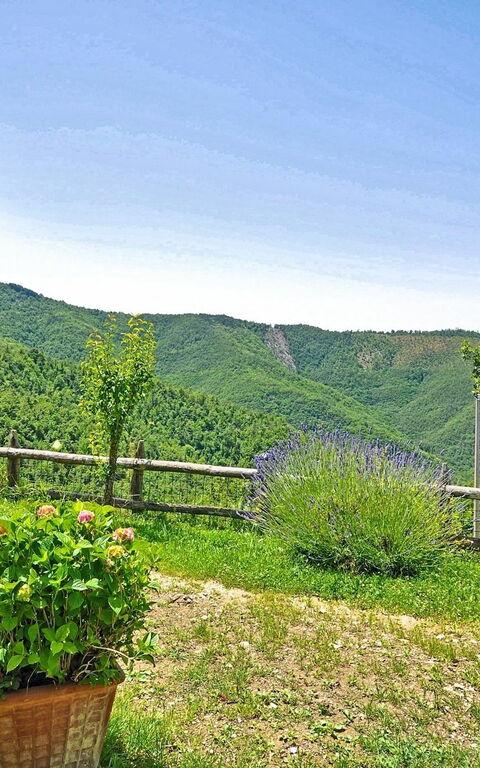 Villa Margherita Uno: Garden