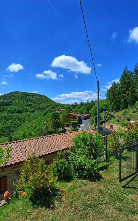 Villa Portole Due: Garden, Scenic View
