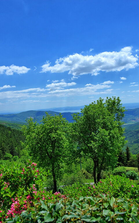 Villa Portole Due: Scenic View