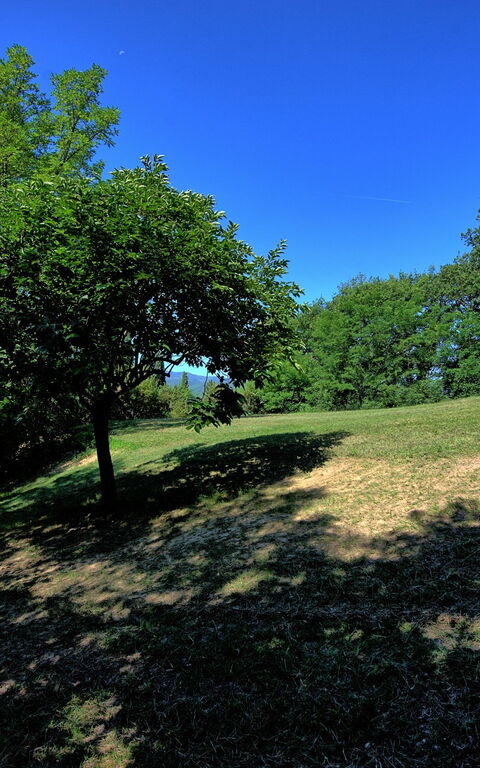 Casale Giotto: Garden